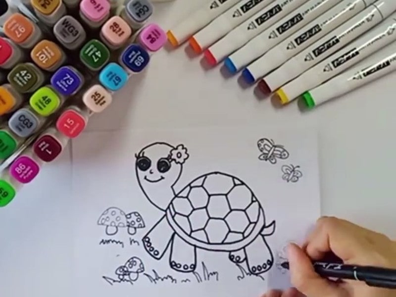 turtle outline