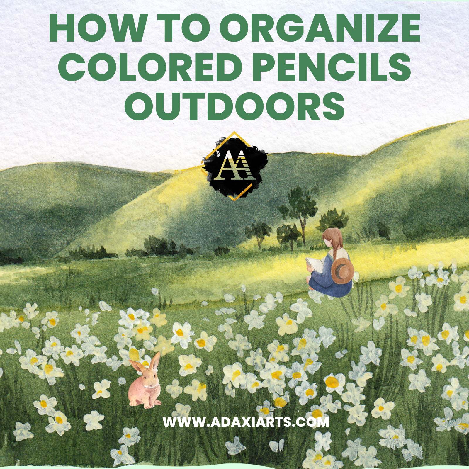 How to Organize Colored Pencils Outdoors