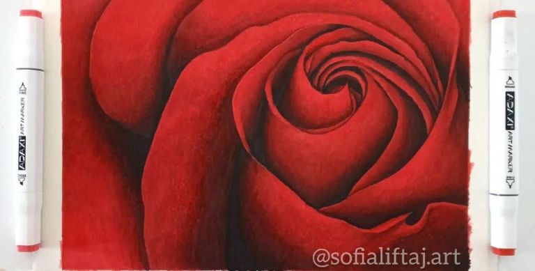 Rose drawn by adaxi alcohol markers